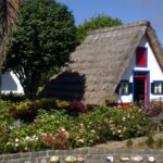 Private Madeira tour 8 people - Notable Stops and Highlights in the Madeira Landscape