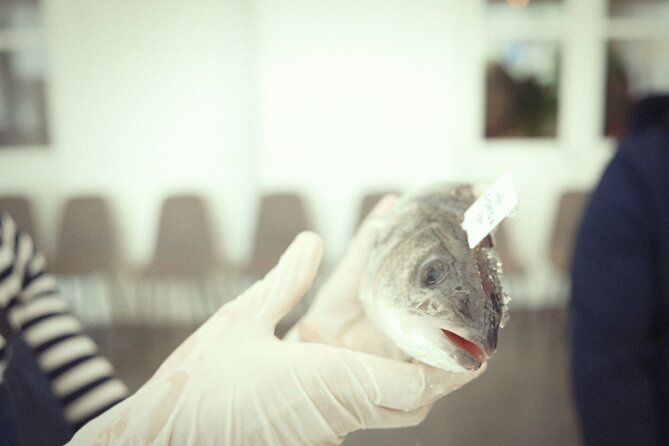 Private Mediterranean Fish Cooking Workshop with Irena - The Menu: What Youll Cook and Eat