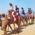 Private Morocco Day Tour: Tangier from Seville - How the Tour Connects Seville to Tangier’s Historic Heart