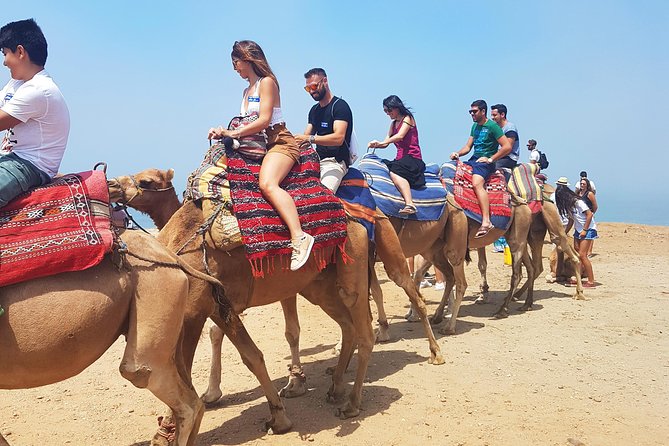 Private Morocco Day Tour: Tangier from Seville - How the Tour Connects Seville to Tangier’s Historic Heart