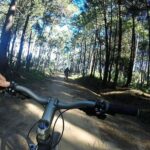 Private Mountain Biking Adventure in Sintra Cascais Park - The Unique Trails of Sintra-Cascais Natural Park