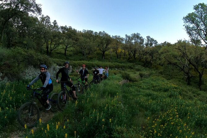Private MTB Enduro Trail Tour in Sintra - Cascais Natural park - Expert Guides Tailor the Ride to Your Skills