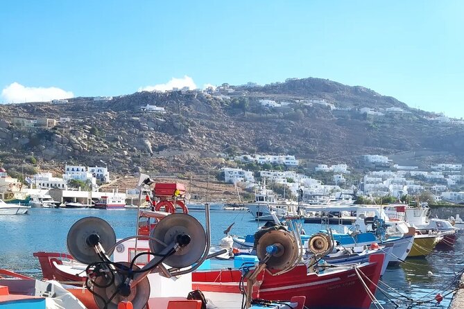 Private Mykonos Airport/Port Luxury Transfer-Taxi - What Makes This Private Transfer Stand Out?