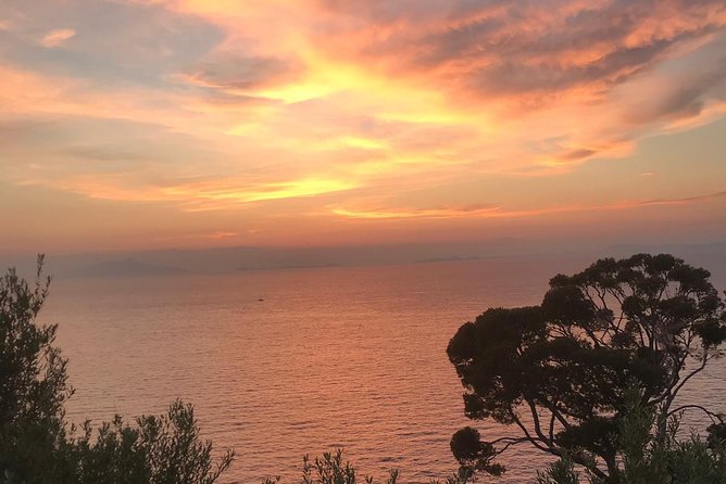 Private Night Transfer Amalfi Coast to Naples. - Comfortable, Luxurious Vehicles for a Nighttime Journey