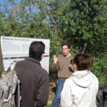 Private Olive Oil Tour from Sevilla - How the Tour Combines Education and Authenticity