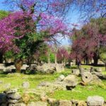 Private Olympia tour (4.5 hours) - The Tour Starts at Katakolon with Convenient Pickup