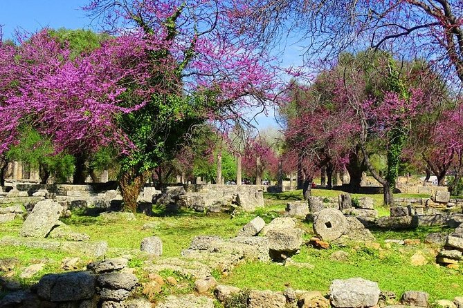 Private Olympia tour (4.5 hours) - The Tour Starts at Katakolon with Convenient Pickup