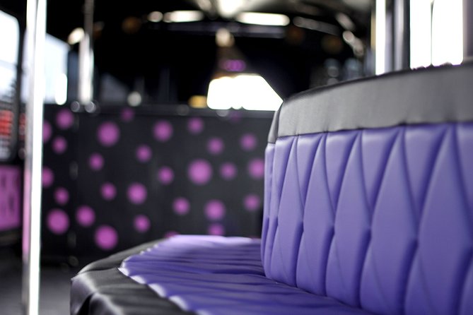 Private Party Bus & Nightclub Entry in Gdansk/Sopot - Customizable Music and Drinks on the Party Bus