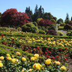 Private Perthshire & Drummond Castle Day Tour - Visiting Drummond Gardens: One of Europe’s Finest Formal Gardens