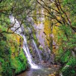 Private Piódão and Serra do Açor Van Tour - Discovering the Schist Village of Benfeita
