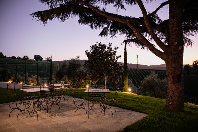 Private Plus Montalcino Wine Tasting in Paradise - Practical Details: Meeting Point and Booking