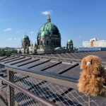 Private Potsdam Highlights: Half-Day Guided Tour Experience - Strolling Through the Dutch Quarter’s Red-Brick Charm