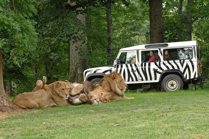 Private Return Transfer Thoiry Zoo Safari from Paris - Highlights of Thoiry Zoo Safari’s Vast Animal Collection