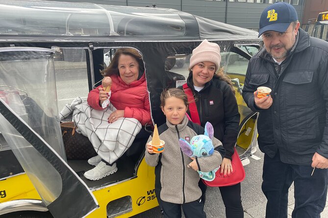 Private Reykjavík TukTuk Tour - Þúfa: A Panoramic Viewpoint with Artistic Flair