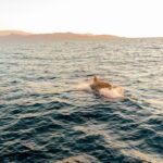 Private Sailing Trip from Heraklion to Dia island - Departing from Heraklion Venetian Port for Scenic Sailing