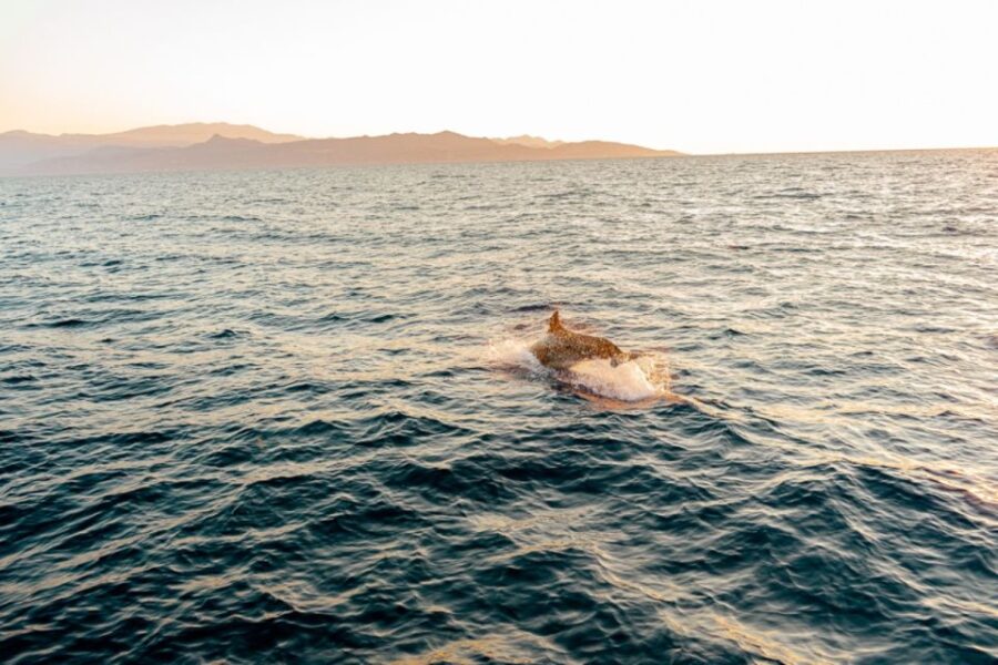Private Sailing Trip from Heraklion to Dia island - Departing from Heraklion Venetian Port for Scenic Sailing