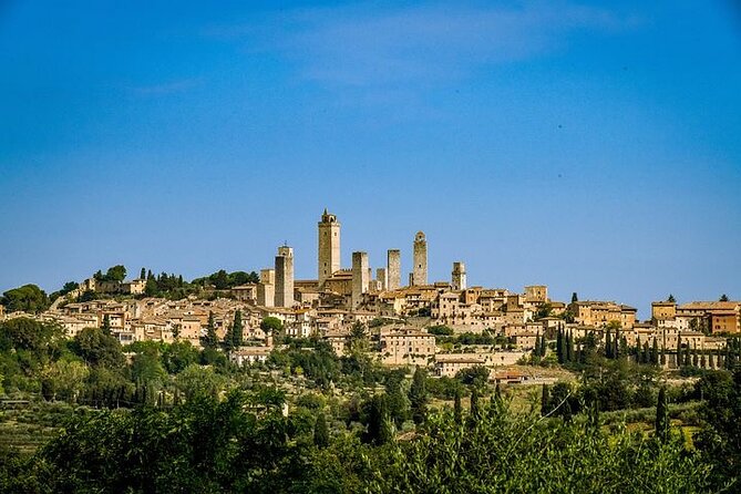 Private San Gimignano Wine Tour from Livorno Port - Exploring San Gimignano’s Towers and Piazzas