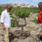 Private Santorini Wine Adventure in 3 Wineries with 12 Tastings - The Role of the Guides and Personalization