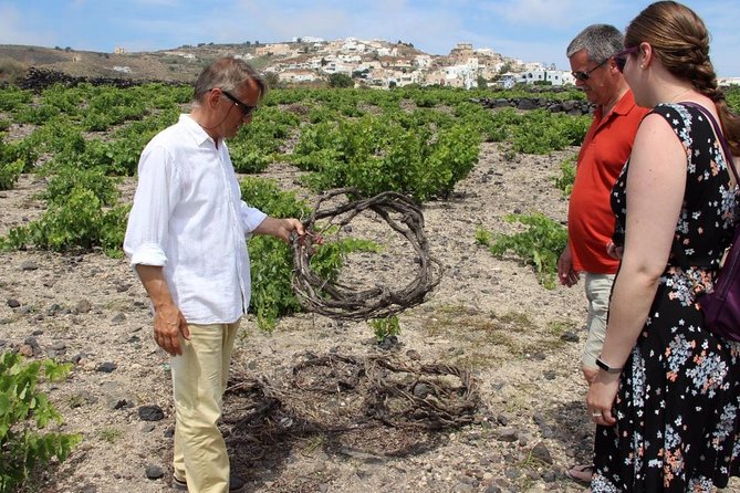 Private Santorini Wine Adventure in 3 Wineries with 12 Tastings - The Role of the Guides and Personalization