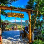 Private Sapanca and Masukiye Tour from Istanbul - Starting Point: Pickup and Transportation in Comfort