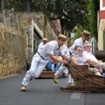 Private Service The Monte Toboggan Sledge Halfday Tour - The Excitement of the Monte Toboggan Ride