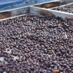 Private Shore Excursion in Gran Canaria - Unique Highlights of the Gran Canaria Private Tour