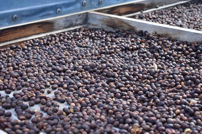 Private Shore Excursion in Gran Canaria - Unique Highlights of the Gran Canaria Private Tour