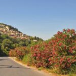 Private Shore Excursion Visit in Corfu with private driver. - Kanoni: Iconic Views of Mouse Island and Vlacherna Monastery
