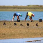 Private Sightseeing Boat Tour in Ria Formosa at Olhão - Discover Ria Formosa on a Private Boat in Olhão