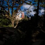 Private Sightseeing Tour in Sintra Portugal - Exploring Sintra’s Most Famous Castle and Palace