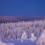 Private Snowshoe or Ski Adventure in Lapland - Routes and Scenery Options in Lapland