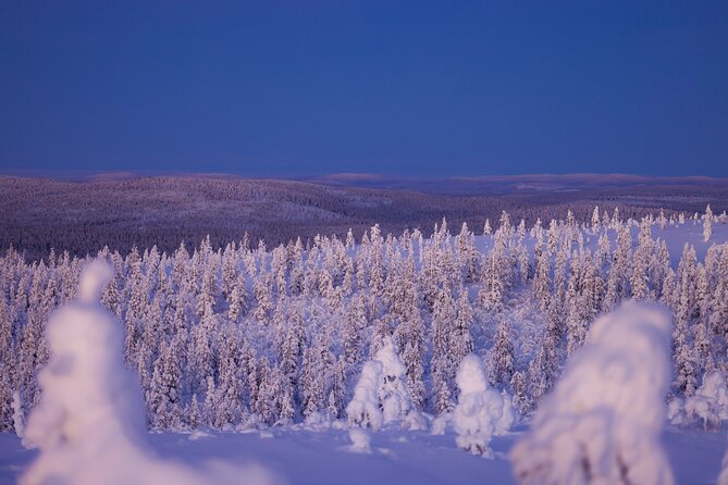 Private Snowshoe or Ski Adventure in Lapland - Routes and Scenery Options in Lapland