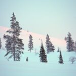 Private: Snowshoeing Safari in spectacular National Park - Practical Details: Logistics and Equipment