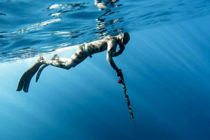 Private Spearfishing Trip From Athens - Equipment and Gear Included for a Seamless Experience