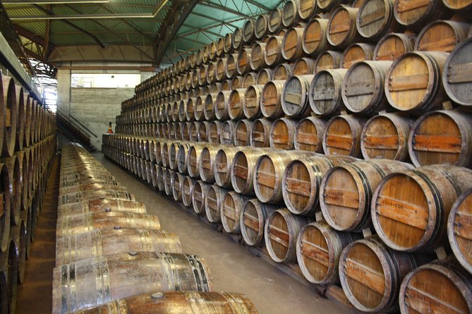 Private Special Tour Around Lisbon and Wine Tasting - The Significance of the Christ the King Statue in Lisbon