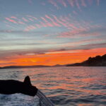 Private Sunset Boat Tour with Music and Wine - Scenic Views of Titos Villa and Marjan Hill
