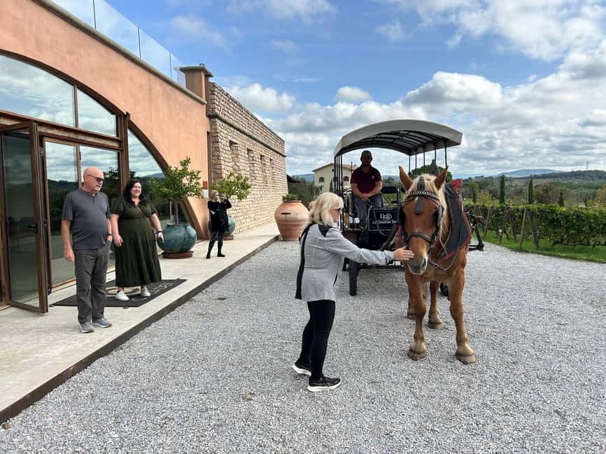 Private Suvereto Wine Tour with Lunch and Tastings - Visiting the First Boutique Winery: Tradition Meets Innovation