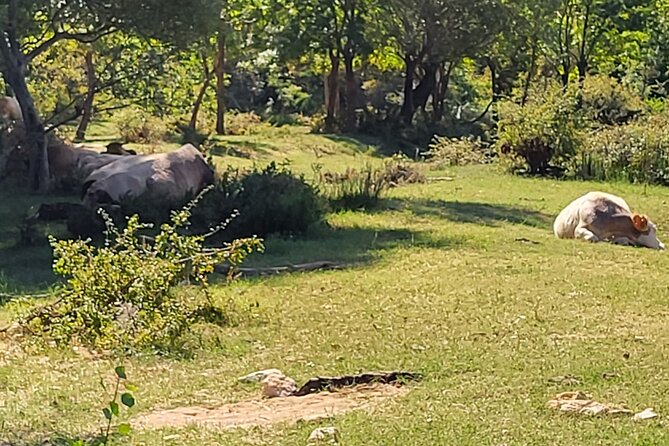 Private Swimming at Waterfalls and Kayaking through the Canyon - Scenic Drive to Muskovci in Croatia’s Waterfall Country