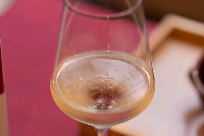 Private tasting of Luxury wines with artichoke in Rome - How the Experience Guides You in Recognizing Wines