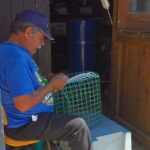 Private Tavira Jeep Tour - Salt Pans, Nature & Santa Luzia - Discovering Santa Luzia, the Octopus Capital