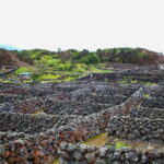 Private Terceira Island Caves: Lava Route - entrances & wine - From Caldera Views to Lava Tubes