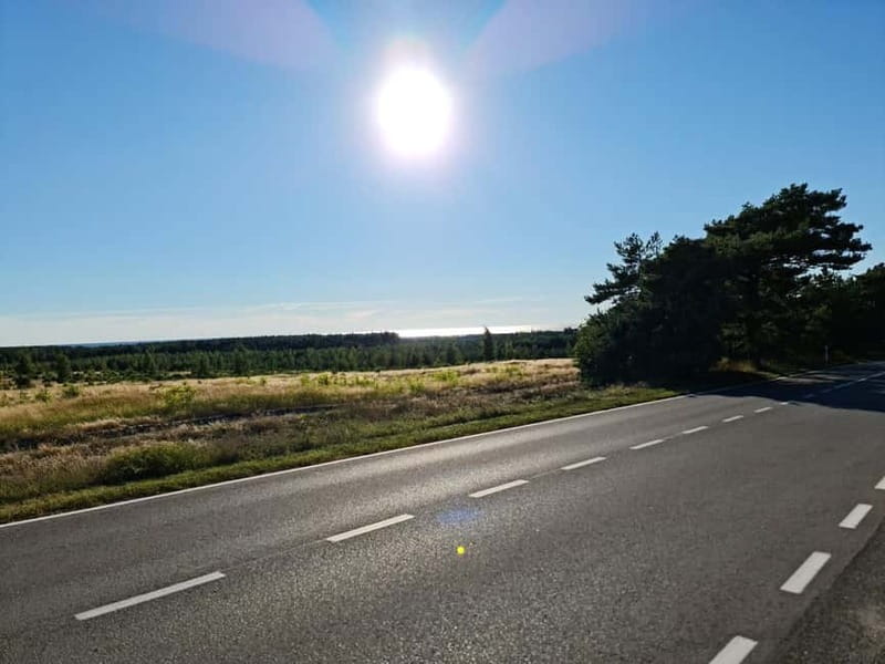 Private Tour: Amber Catching in Curonian Spit from Klaipeda - Amber Catching at Preila Beach