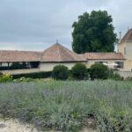 Private Tour and Tastings in St-Emilion: Grands Crus and Monuments - Visiting the Monolithic Churchs Architectural Marvel