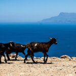 PRIVATE TOUR by 4x4 to Balos lagoon and Falassarna beach - Exploring Balos Lagoon from Above