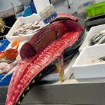 Private tour Cadiz: the city of light - Key Points