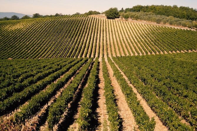 Private Tour: Chianti Winery, Montefioralle, and Greve in Chianti - Greve in Chianti: The Heart of the Chianti Classico