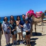 Private Tour: Day through Gibraltar and Morocco, Tangier from Seville - Crossing the Strait of Gibraltar to Gibraltar