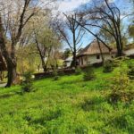 Private Tour Dracula Grave, Ceauescu Mansion and Village Museum - Discover Ceausescu’s Private Residence and Its Historical Significance