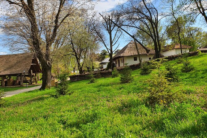 Private Tour Dracula Grave, Ceauescu Mansion and Village Museum - Discover Ceausescu’s Private Residence and Its Historical Significance