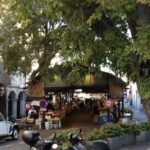 Private Tour from Cannes - Experience the French Riviera privately from Cannes for an unforgettable day